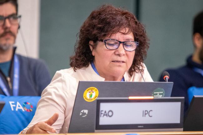 Alicia Sarmiento, IPC