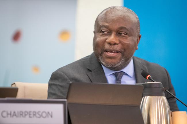 Kent Nnadozie, Secretary, ITPGRFA