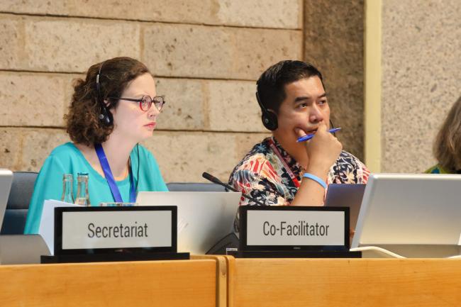 Co-Facilitators Marine Collignon, France, and Danny Rahdiansyah, Indonesia 