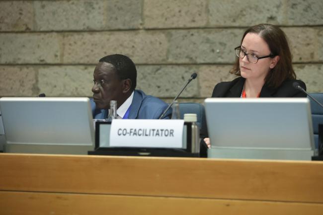 Co-facilitators Tommy Oliver Boachie, Ghana, and Katherine Lynch, Australia