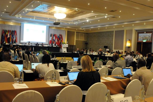 Council session