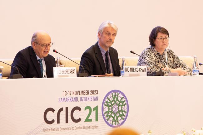 Dais - CRIC 21 - 17 Nov 2023 - Photo