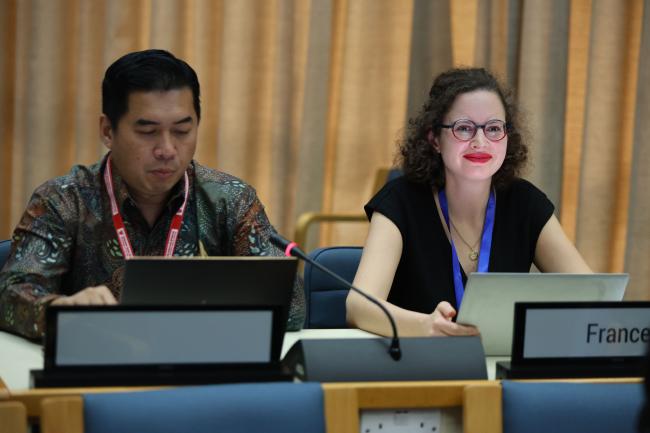 Danny Rahdiansyah, Indonesia, and Marine Collignon, France, Co-Facilitators of Contact Group 3, reporting back to plenary 