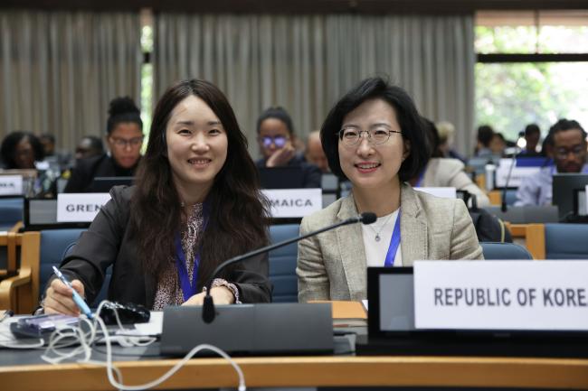 Delegates from the Republic of Korea 