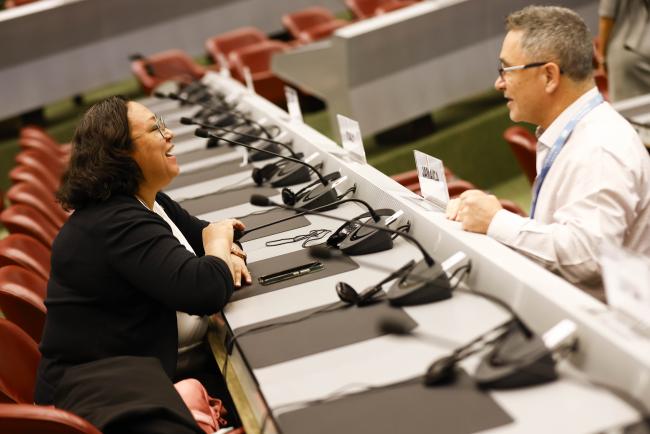 Delegates- MinamataCOP5 - 1Nov2023 – Photo.jpg