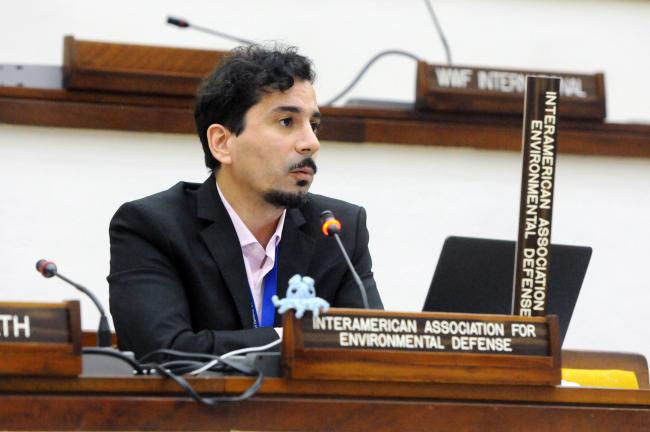 Diego Lillo Goffreri, Interamerican Association for Environmental Defense (AIDA)