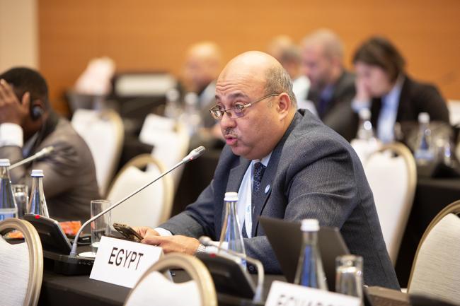 Egypt - CRIC 21 - 16 Nov 2023 - Photo
