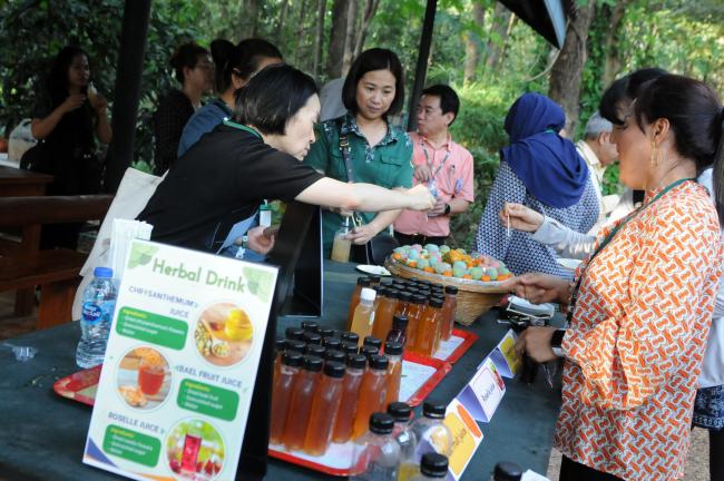 Excursion to the Teak Forest Plantation