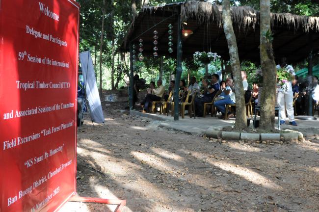 Excursion to the Teak Forest Plantation