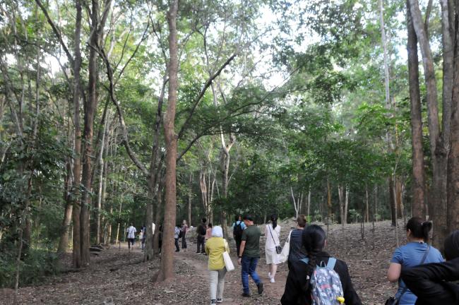 Excursion to the Teak Forest Plantation
