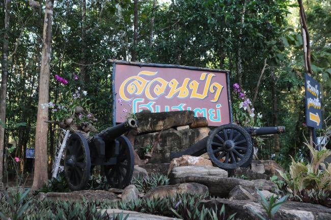 Excursion to the Teak Forest Plantation