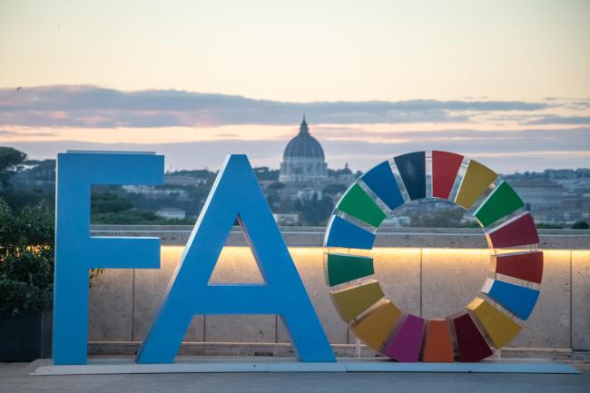 FAO sign on rooftop