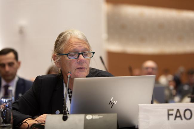 FAO- CRIC 21 - 13 Nov 2023 - Photo