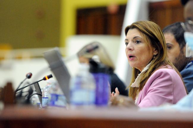 Gina Guillén Grillo, Costa Rica, Co-facilitator of the Informal Working group on institutional matters