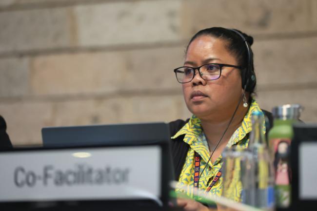 Gwendalyn Kingtaro Sisior, Palau, Co-Facilitator of Contact Group 1 