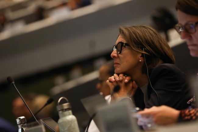 Delegates listen to the interventions
