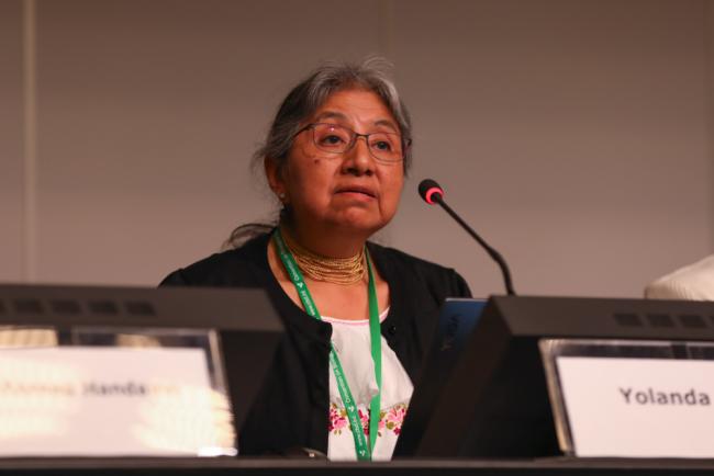 Yolanda Teran, Indigenous Women's Network for Biodiversity, Ecuador