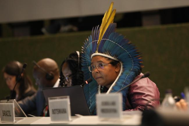 Ceiça Pitaguary, Secretary of Indigenous, Environmental and Territorial Management, Ministry of Indigenous Peoples, Brazil