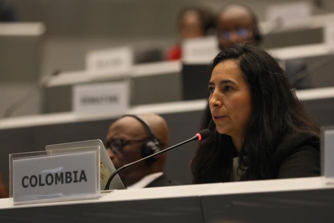 Laura Camila Bermudez Wilches, Colombia