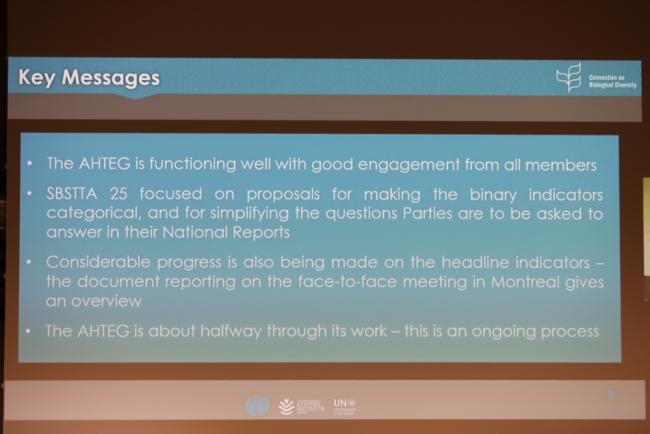 A slide highlights the key messages coming out of the AHTEG on Indicators