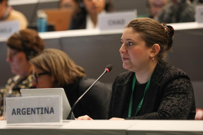 Corina Sarli, Argentina, speaking on behalf of the Group of Latin America and Caribbean Countries (GRULAC)