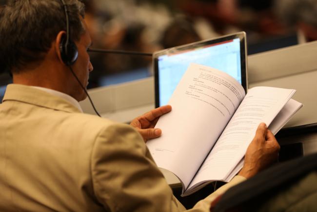 A delegate refers to CBD documents during the discussions