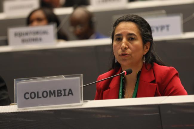 Laura Camila Bermudez Wilches, Colombia