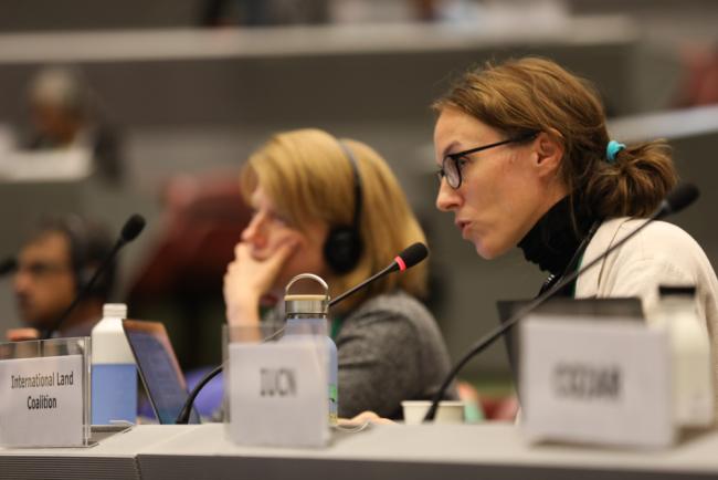 Eva Hershaw, International Land Coalition
