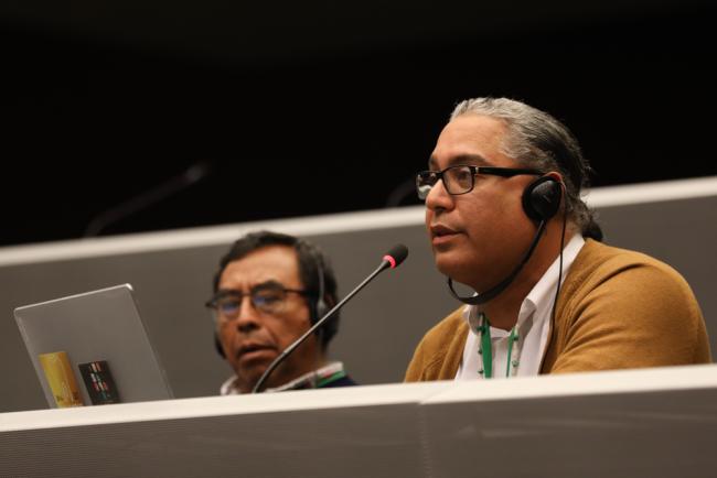 Roberto Borrero, International Indian Treaty Council