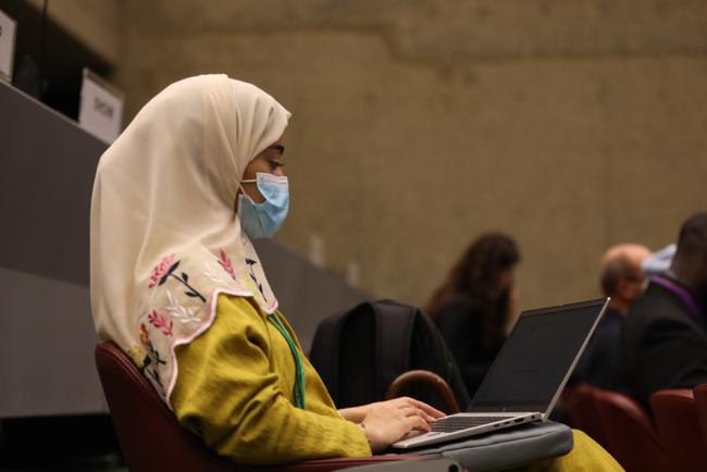 Delegate in plenary