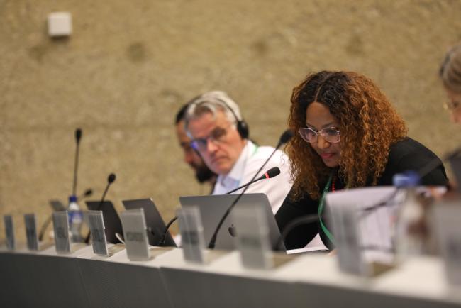 Betty Kauna Schroder, Namibia, speaking on behalf on the African Group