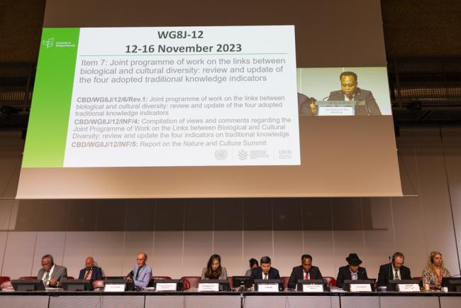 Morning plenary begins with discussions on the joint programme of work on the links between biological and cultural diversity
