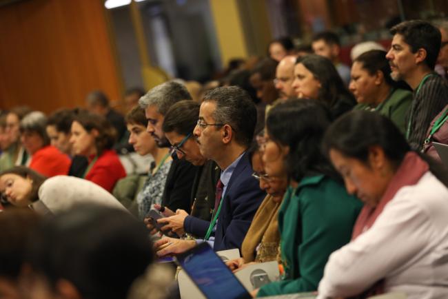 Delegates listen to the deliberations
