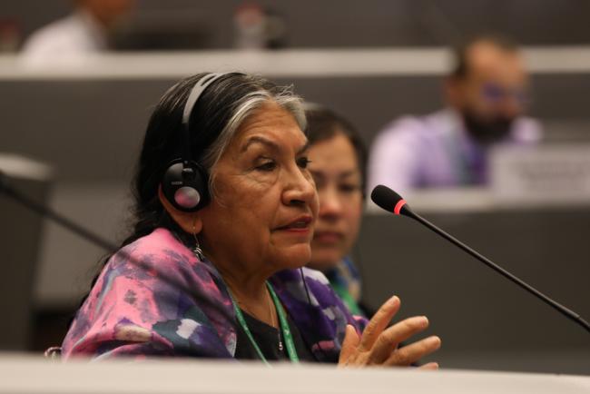 Tarcila Rivera Zea, IPLCs