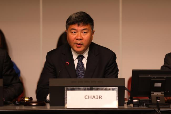 Working Group Co-Chair Ning Liu, China