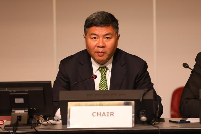 Working Group Co-Chair Ning Liu, China