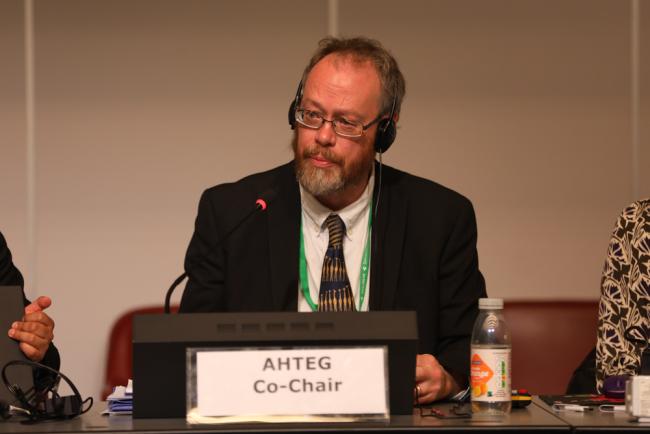 James Williams, Ad Hoc Technical Expert Group on Indicators (AHTEG) Co-Chair