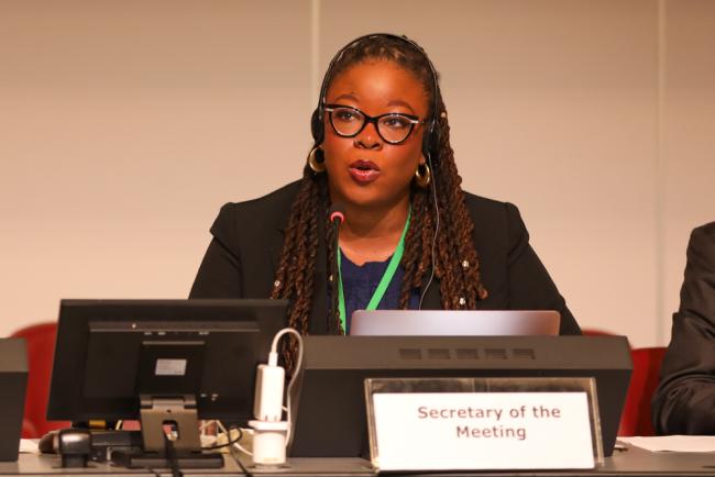 Contact Group Co-Chair Nneka Nicholas, Antigua and Barbuda