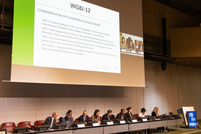 View of the dais during the afternoon plenary 