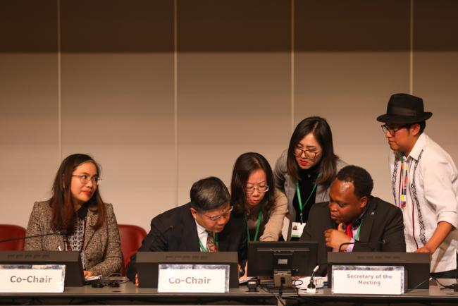 The Working Group Co-Chairs consult with the CBD Secretariat
