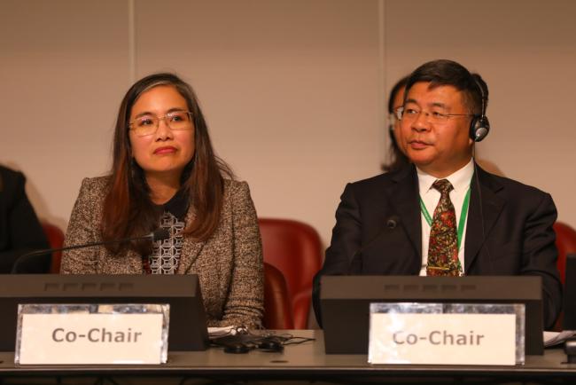 Working Group Co-Chairs June Rubis, Indigenous, and Ning Liu, China