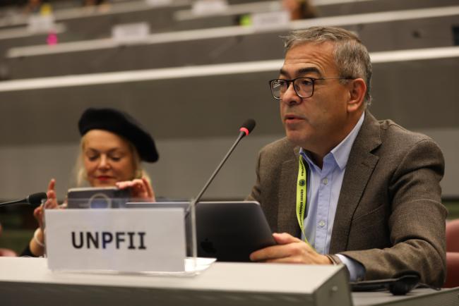 Rodrigo Paillalef, UN Permanent Forum on Indigenous Issues (UNPFII)