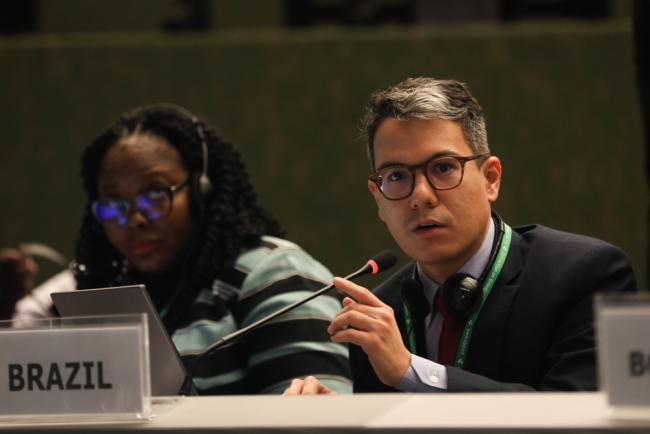 Luiz Eduardo Andrade de Souza, Brazil