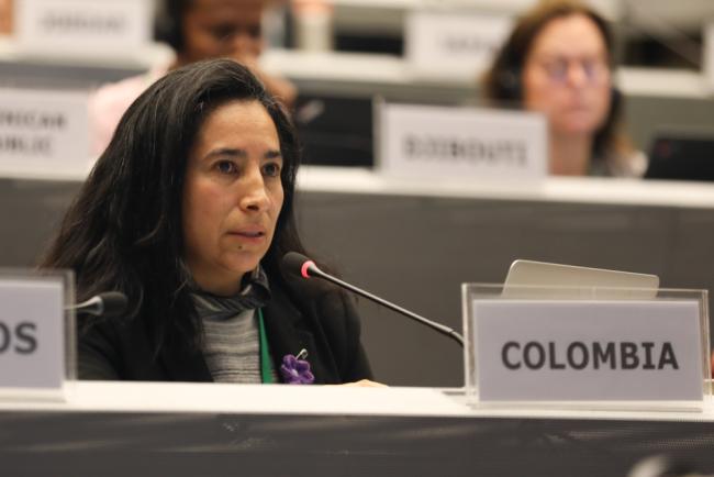 Laura Camila Bermudez Wilches, Colombia