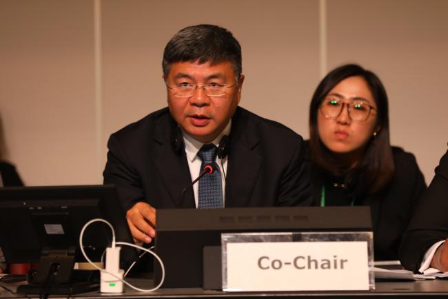 Working Group Co-Chair Ning Liu, China