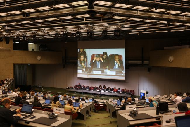 Delegates gather for the closing plenary of Art 8(j)
