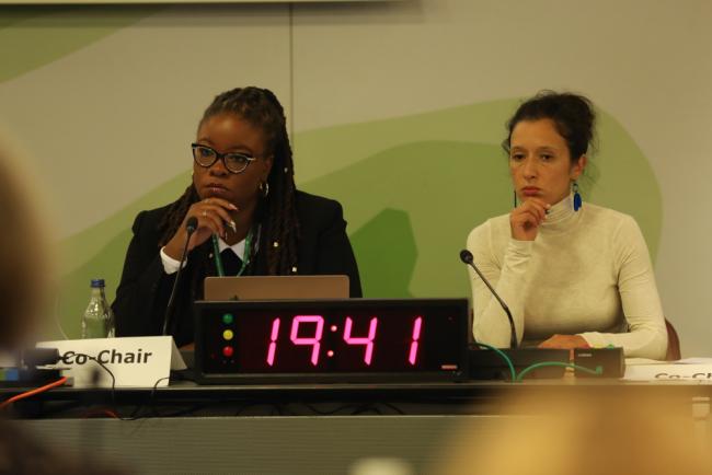 Contact Group Co-Chairs Nneka Nicholas, Antigua and Barbuda, and Salima Kempenaer, Belgium