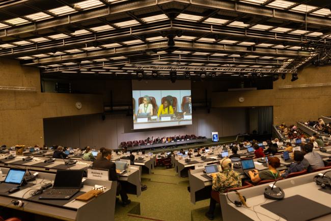 View of plenary during the afternoon