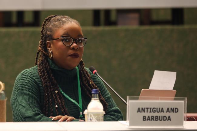 Contact Group Co-Chair Nneka Nicholas, Antigua and Barbuda