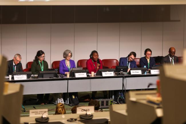 View of the dais during the afternoon plenary 